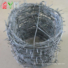 Building Material Galvanized Steel Barbed Wire